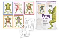 Frog Flip Chart