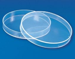 Petri Dish, Plastic, 150mm