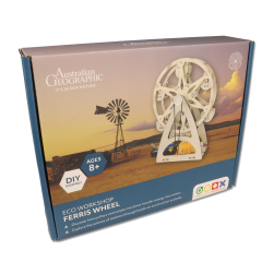 Ferris Wheel Eco Workshop