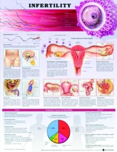 Chart,  Infertility, (Bachin)  50 x 66cm.