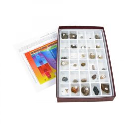 Advanced Fossils Collection