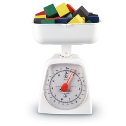 Platform Scales