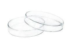 Petri Dish, Glass, 60mm
