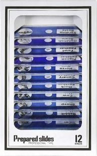 Prepared microscope slides, plastic, animals, set/12