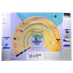 Sound Spectrum chart, 55x86cm