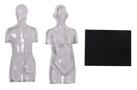 4D Human Transparent Pregnancy Torso Anatomy Model - Haines