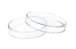 Petri dishes, glass