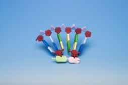 Molymod - Mini RNA kit, 12 base