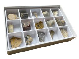 General Fossil Collection