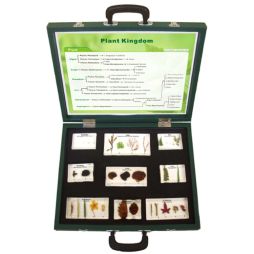 Plant Kingdom - 9 Specimen Blocks