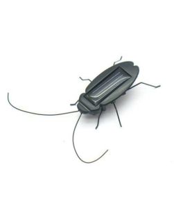Solar Cockroach